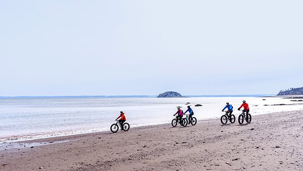 Coastal Bike Tour and Stay